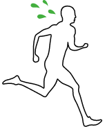 パーソナルトレーニング